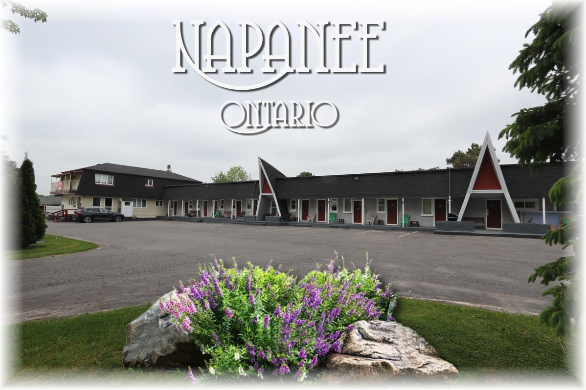 Twin Peaks Motel Napanee Exterior photo